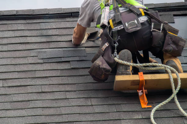 Best Roof Replacement Cost  in Halifax, VA