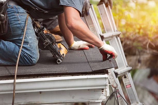 Best Roof Gutter Cleaning  in Halifax, VA